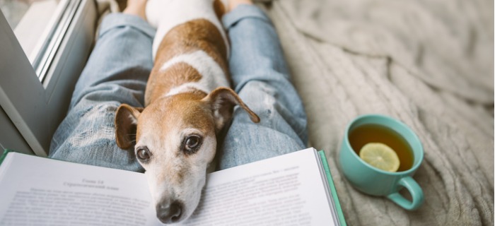 reading-at-home-with-pet-cozy-home-weekend-with-interesting-book-dog-picture-id1132975333-1